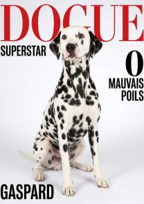 Dogue